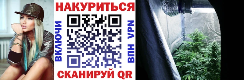 Каннабис ГИДРОПОН Шали